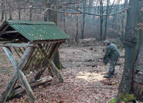 У мисливських угіддях Закарпаття стартувала друга хвиля соціальної підгодівлі тварин