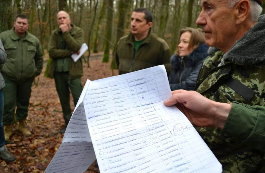 Лісники: Свіжої заготівлі деревини на "Шахті" не було і не планувалося