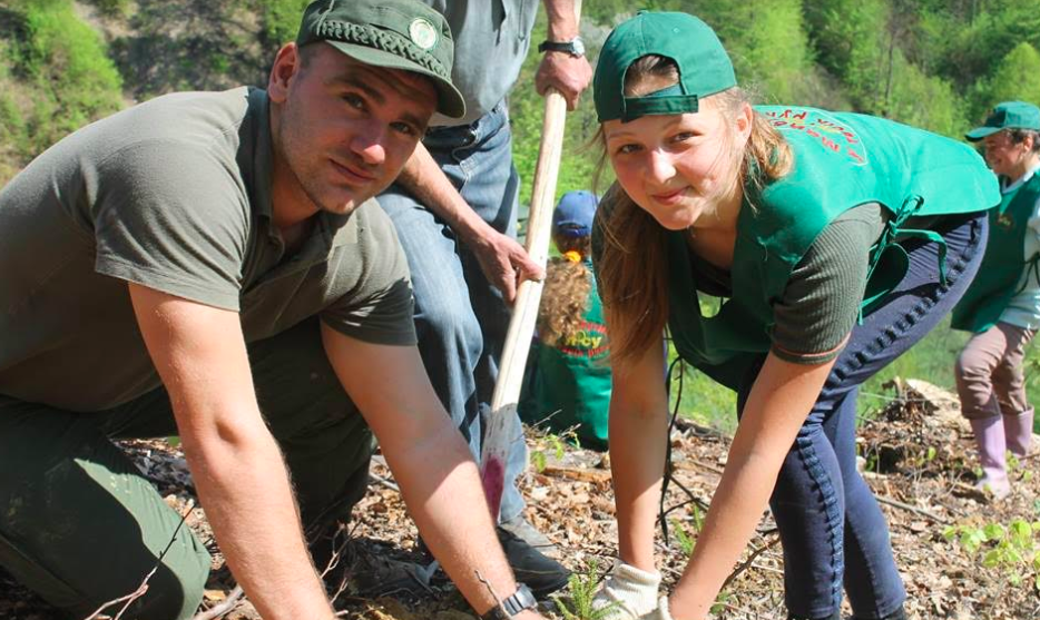 У Тячівському лісгоспі висадили 4500 саджанців