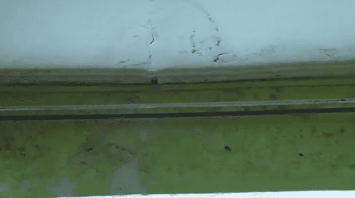 Жителька Ужгорода два роки живе у багатоповерхівці з дірявим дахом