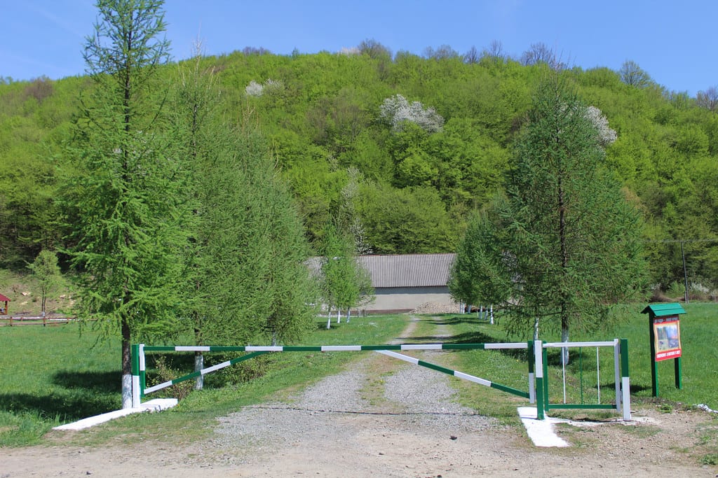 Ліси Перечинщини закриті для відвідувань