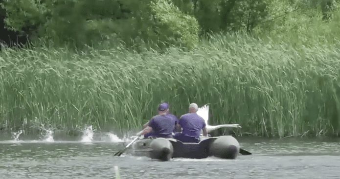 На озері у парку «Кірпічка» в Ужгороді працівники ДСНС визволяли птаха