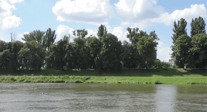 У річці Уж зафіксували перевищення норми хвороботворних бактерій у майже 5 разів