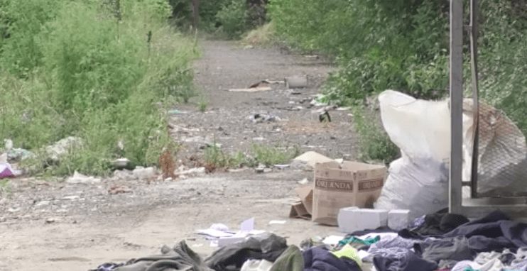 Ужгородці скаржаться на засилля сміття у дворах багатоповерхівок (ВІДЕО)