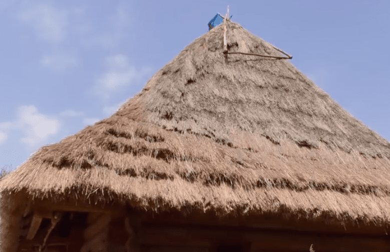 Солому для реставрації хат ужгородського скансену шукають по всій Україні (ВІДЕО)