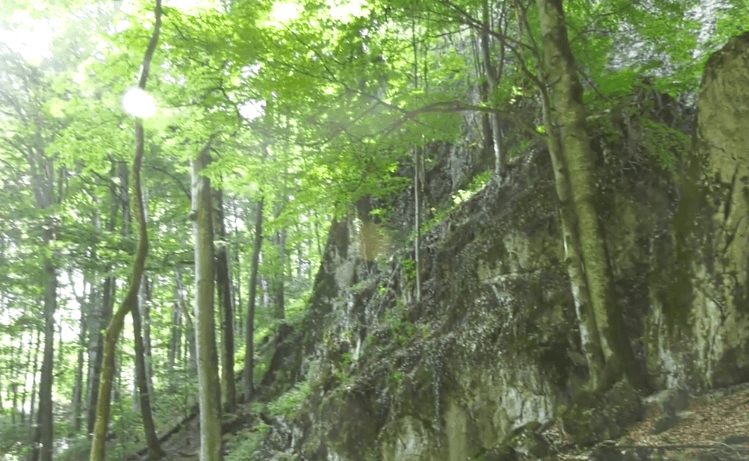 Печери Молочного каменю на Тячівщині приваблюють туристів з усієї України (ВІДЕО)