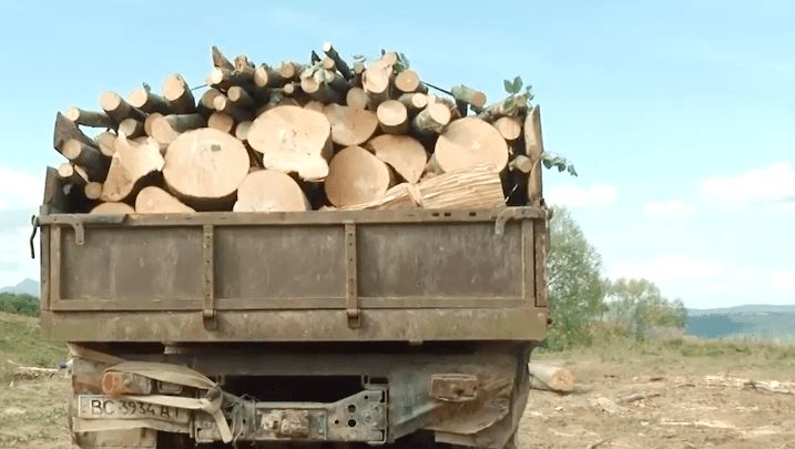 Жителі Воловеччини на зиму вже запасаються дровами