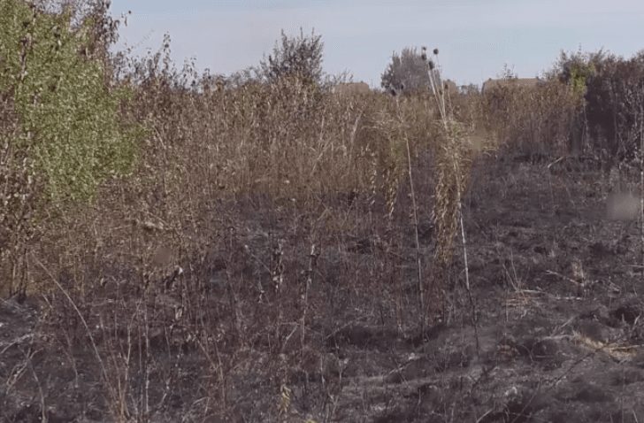 Ужгород у диму через загорання сухої трави (ВІДЕО)