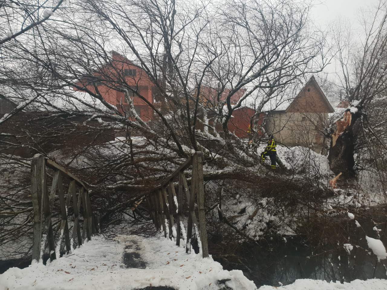 У Хусті повалене дерево зруйнувало пішохідний міст