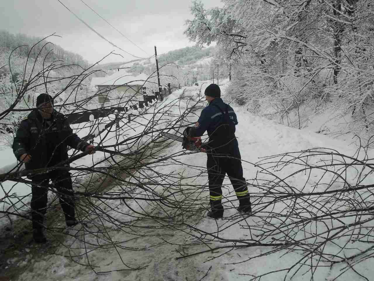 Рятувальники ліквідовували наслідки падіння дерев