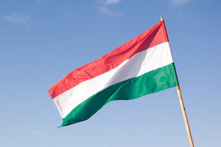 8 років діяльності благодійного фонду угорців - допомогу отримали 341 000 закарпатців