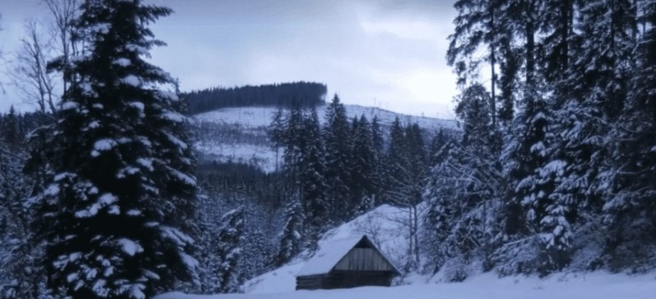 У карпатських лісових будиночках поповнюють запаси води, сірників, їжі та дров