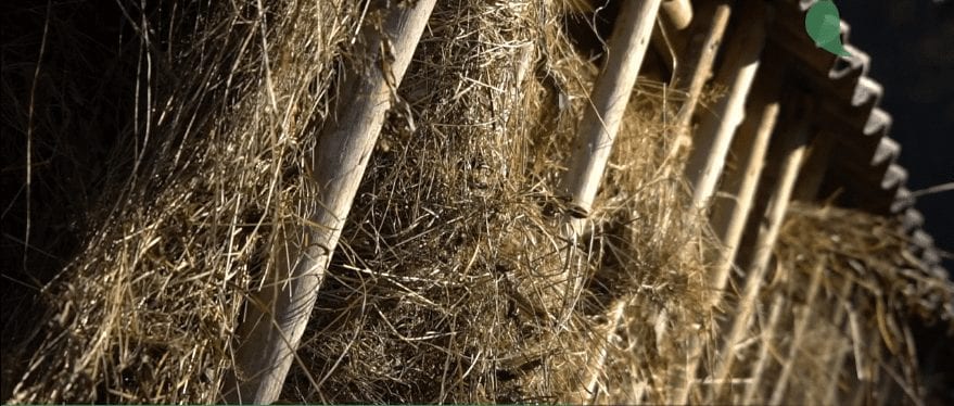 З лісівниками Закарпаття диким звірям зима не страшна (ВІДЕО)