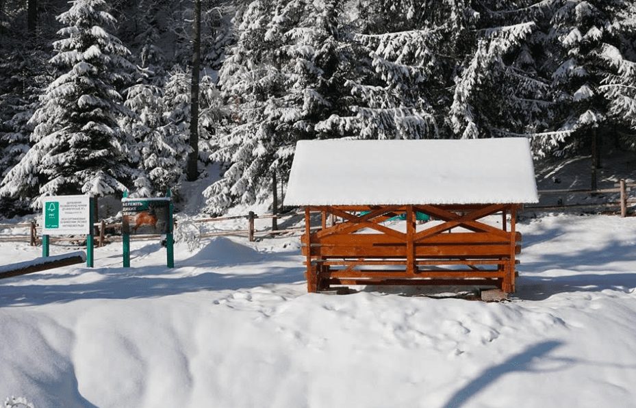 Як лісівники Закарпаття розвивають туризм