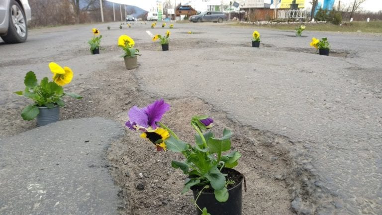 Москаль радить авторам квітів на виноградівській дорозі зайнятися зеленими насадженнями біля Мінінфраструктури