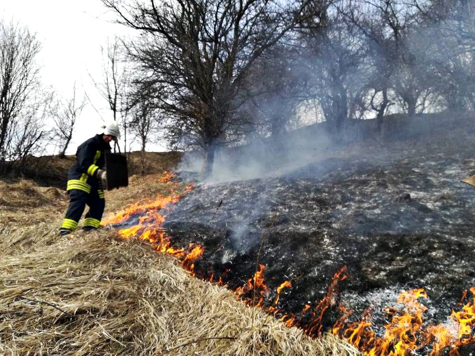 В Ужгороді через загорання сухостою ледве не згорів житловий будинок