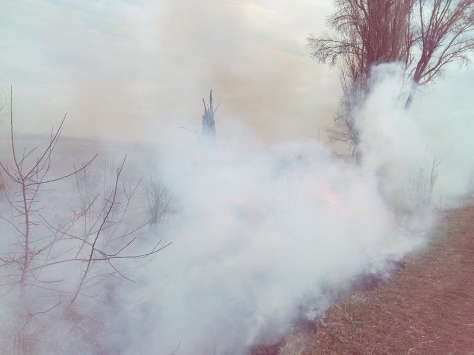 Паліїв сухостою впіймали "на гарячому" патрульні Закарпаття (ФОТО)