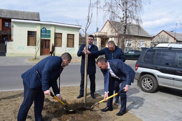 Як мер Ужгорода піарився з висадкою сакур