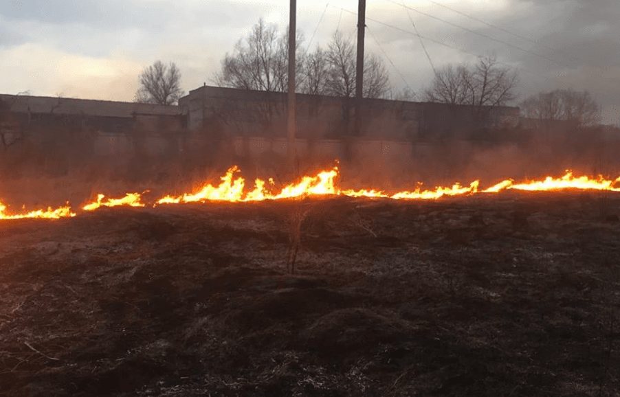 Впродовж минулої чергової доби рятувальники ДСНС Закарпаття ліквідовували 36 пожеж сухостою