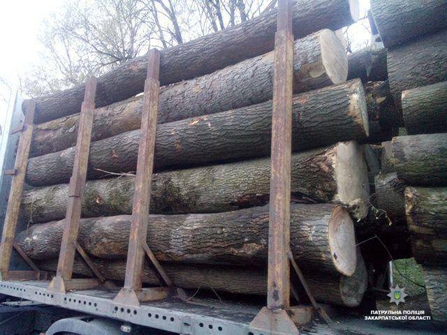 На дорожній станції Нижні Ворота патрульні виявили незаконне перевезення деревини (ФОТО)