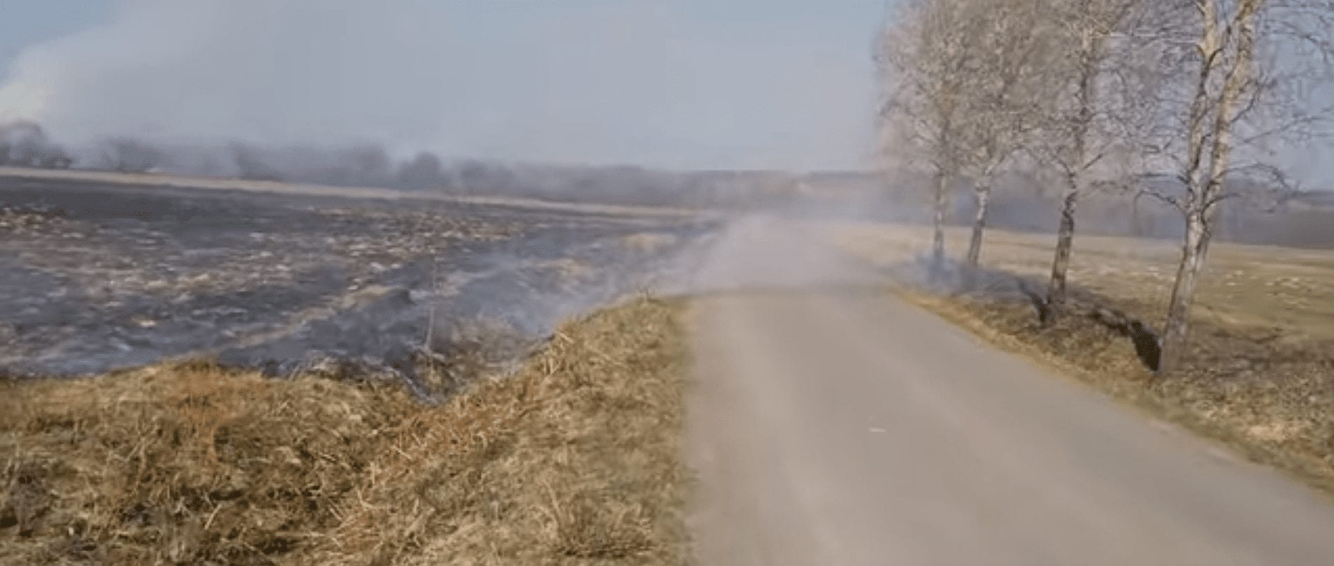 На Закарпатті горіло поле біля Долини нарцисів (ВІДЕО)