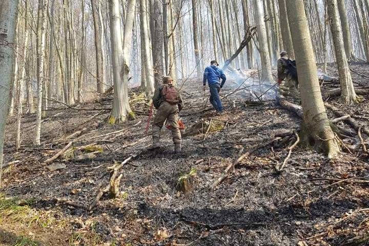 У лісовому фонді ДП «Перечинський лісгосп» пожежа!