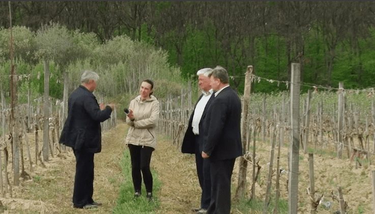 Землі колишніх радгоспів на Закарпатті занепадають (ВІДЕО)