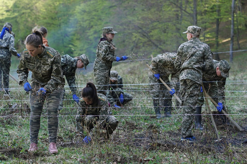 «На Закарпатті вже виконано 97% від плану весняної посадки» – Валерій Мурга