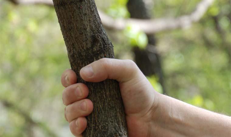 На Мукачівщині чоловік вдарив палицею свого односельчанина