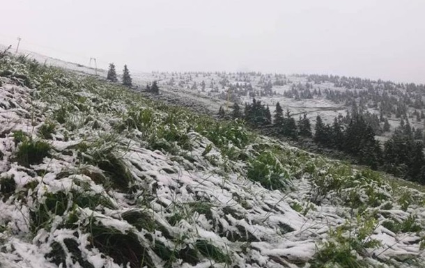 У горах Рахівщини насмерть замерз грибник