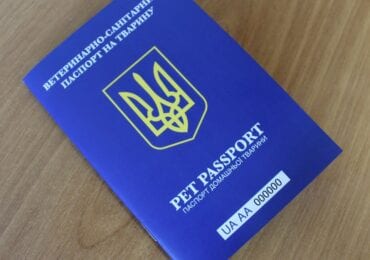 З серпня міжнародні перевезення домашніх тварин здійснюються виключно за паспортами нового зразка