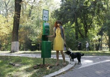 Підтримаємо разом: в Ужгороді з'явилась цікава петиція для власників собак (ФОТО)