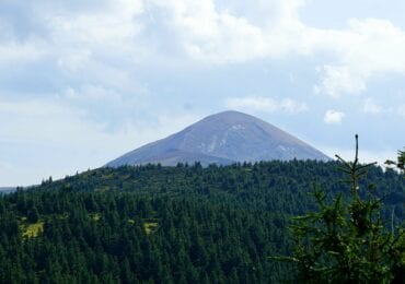 Лісівники Закарпаття підкорили гору Петрос (ФОТО)