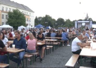 На Закарпатті відбулись "Чеські дні" (ВІДЕО)