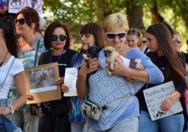 В Ужгороді втретє пройшов марш за права тварин