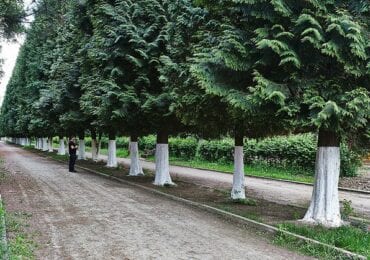 У Боздоському парку Ужгорода три дні святкуватимуть "Бабине літо" (АНОНС)