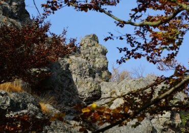 Мальовниче Закарпаття: у мережі показали унікальні краєвиди НПП "Зачарований край"