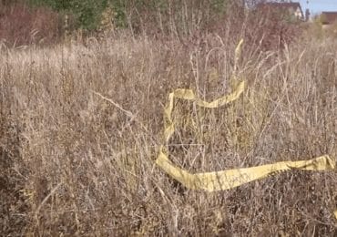 На Виноградівщині знайшли напівоголене тіло чоловіка: нові подробиці (ВІДЕО)