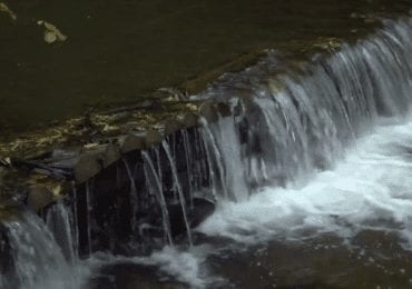 Лісівники Іршавщини будують перепади на гірських річках (ВІДЕО)