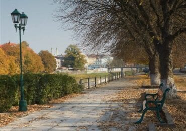 До уваги власників домашніх улюбленців: в Ужгороді труять щурів