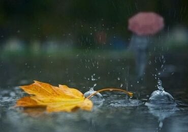 Цього тижня на Закарпатців очікує хмарна та дощова погода