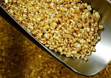 На Закарпатті почала роботу нова збагачувальна фабрика Avellana Gold