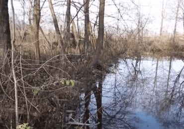 На Хустщині розгорівся конфлікт через створення форелевого господарства біля річки (ВІДЕО)