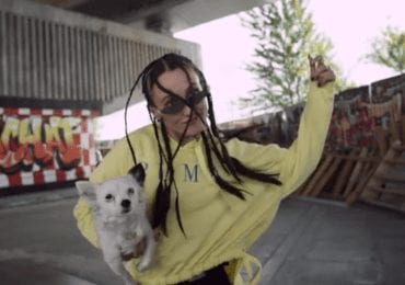 Закарпатська співачка Alina Pash знялась у соціальній рекламі про адопцію безпритульних тварин (ВІДЕО)