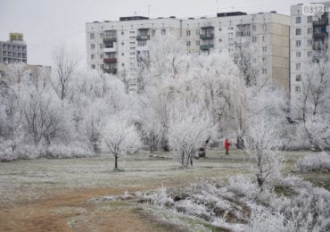 Засніжена краса: в мережі з‘явились неймовірні фото ужгородського парку «Кірпічка»