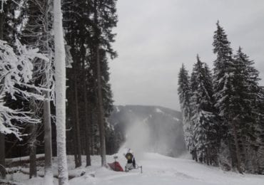 Ротарі клуб “Ужгород” ініціює екологічну акцію: «Врятуймо «Зелені легені «Карпат!»