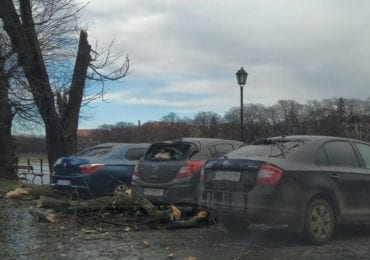 Гілка дерева на Київській набережній в Ужгороді пошкодила три авто (ВІДЕО)