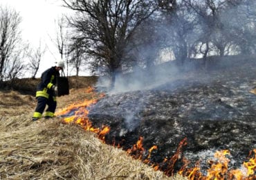 На Закарпатті не вщухають пожежі у екосистемах: рятувальники закликають припинити спалювання сухої рослинності