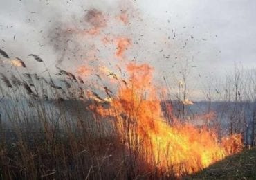 На Закарпатті за один день сталося 5 загорань сухої трави й чагарників