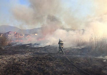 Лише за один день на Закарпатті трапилось 19 пожеж в екосистемах